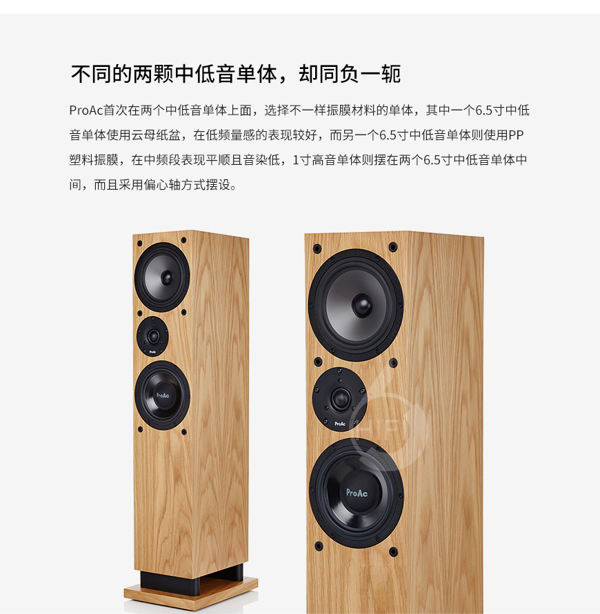 貴族Response DT8,ProAc Response DT8,貴族音箱