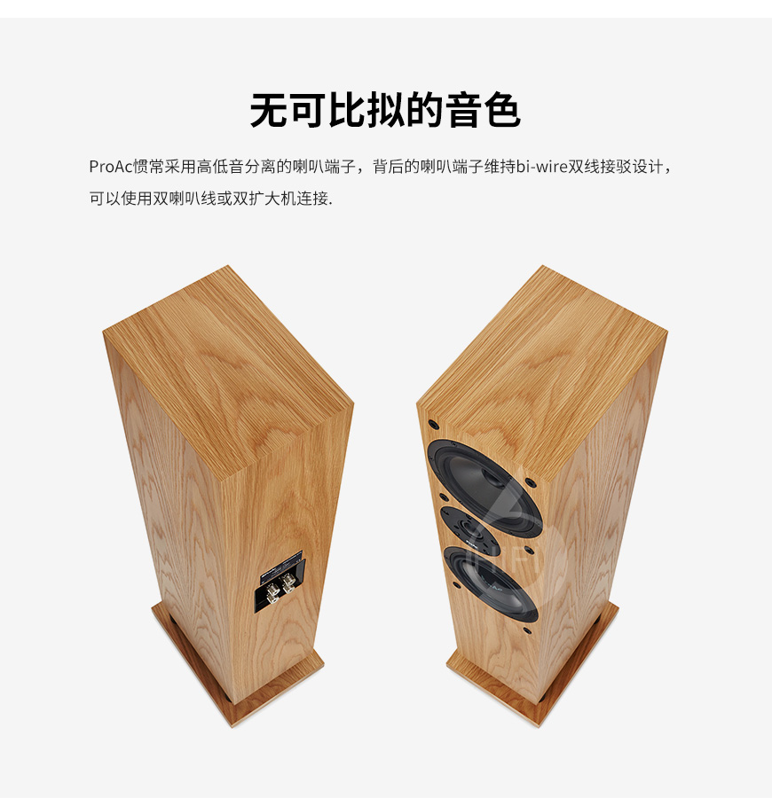貴族Response DT8,ProAc Response DT8,貴族音箱