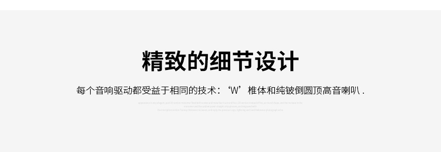 法國 勁浪 Focal Sopra Center 中置箱,勁浪 Sopra Center 中置箱,法國 勁浪 中置箱