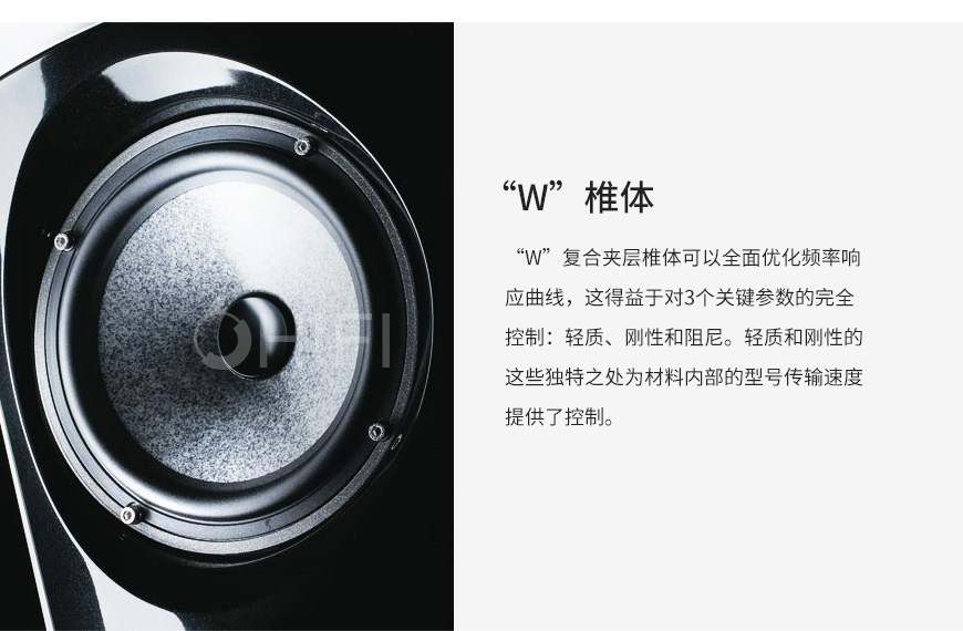 法國 勁浪 Focal Sopra Center 中置箱,勁浪 Sopra Center 中置箱,法國 勁浪 中置箱
