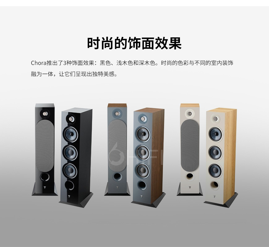 法國 勁浪 Focal Chora 826 落地箱,勁浪 Chora 826 落地箱,法國 Focal Chora 826,法國 勁浪