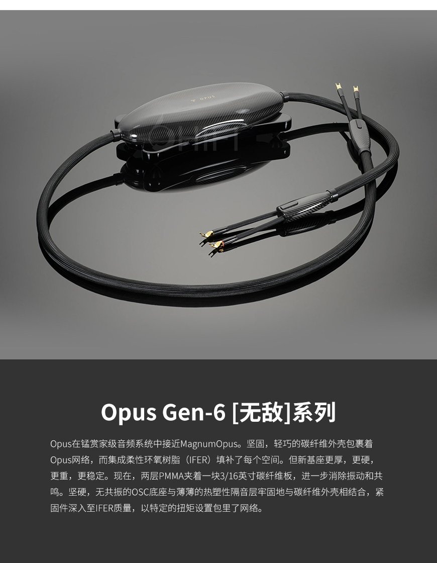 美國 Transparent 天仙配 OPUS Speaker Cable OSC G6 音箱線