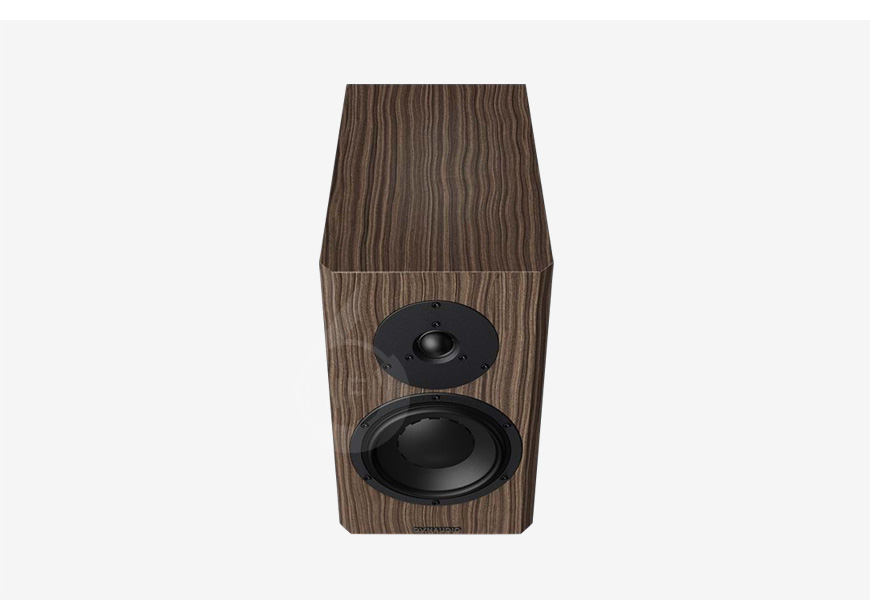 丹拿,40周年紀念版,40周年,Dynaudio,Special Forty,Dynaudio Special Forty,書架箱,HIFI音箱,HIFI音響