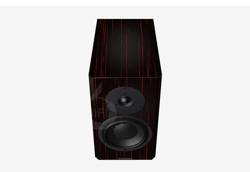 丹拿,40周年紀念版,40周年,Dynaudio,Special Forty,Dynaudio Special Forty,書架箱,HIFI音箱,HIFI音響