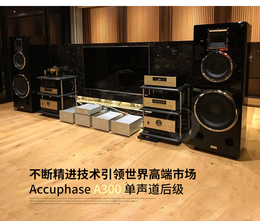 Accuphase金嗓子,Accuphase,金嗓子,A300,單聲道后級,后級,功放