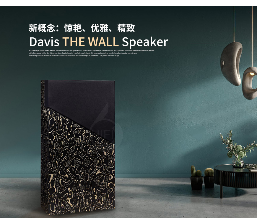 法國 Davis THE WALL 落地箱,音箱