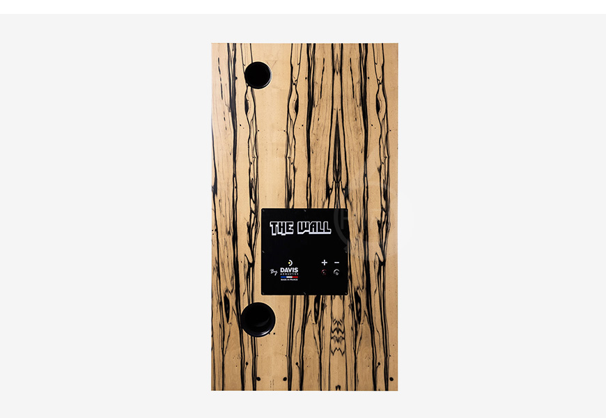 法國 Davis THE WALL 落地箱,音箱