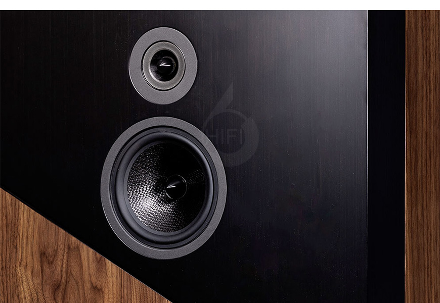 法國 Davis THE WALL 落地箱,音箱