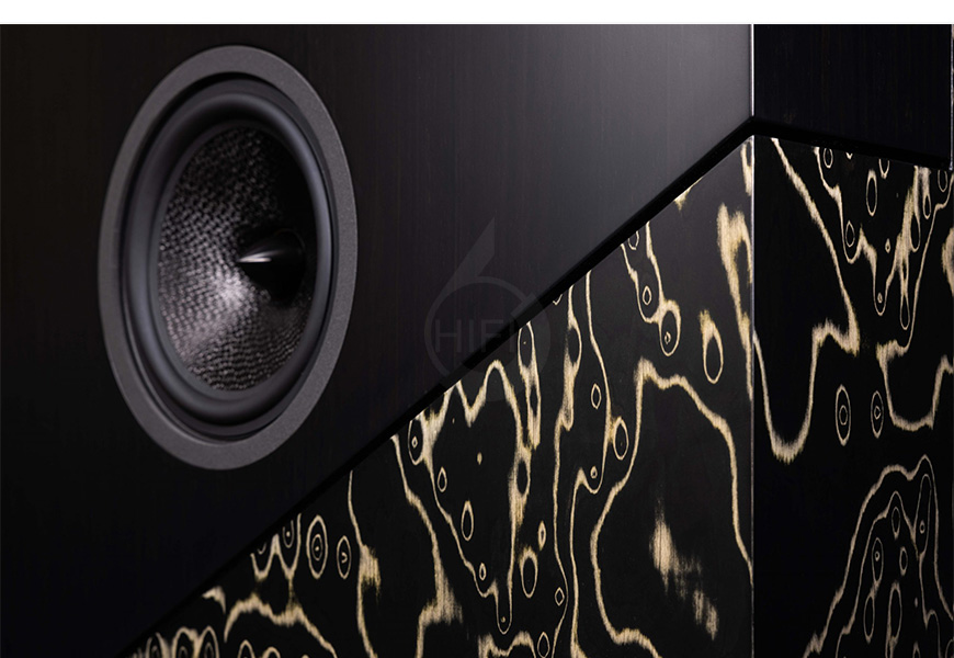 法國 Davis THE WALL 落地箱,音箱